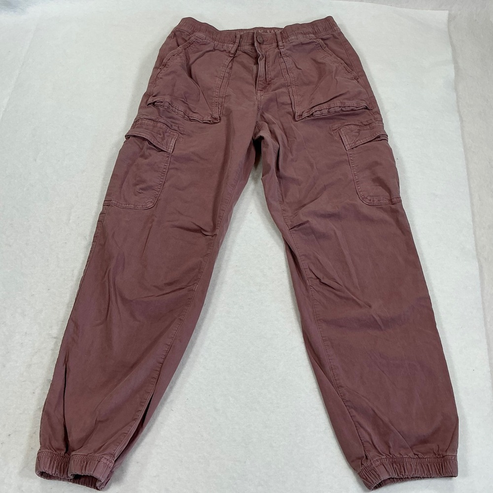 American Eagle Women 2 Mauve Pink Stretch Cargo Jogger Pants High Rise Utility
